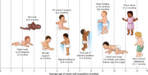 What Age is a Toddler and What Age is an Infant